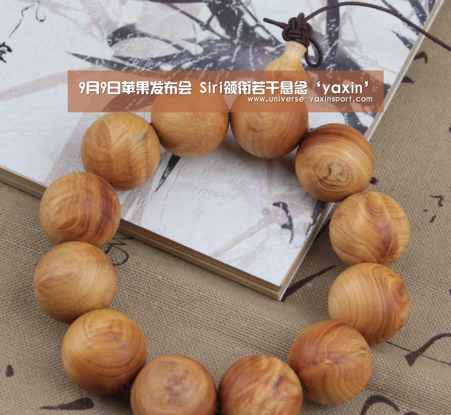亚新网站