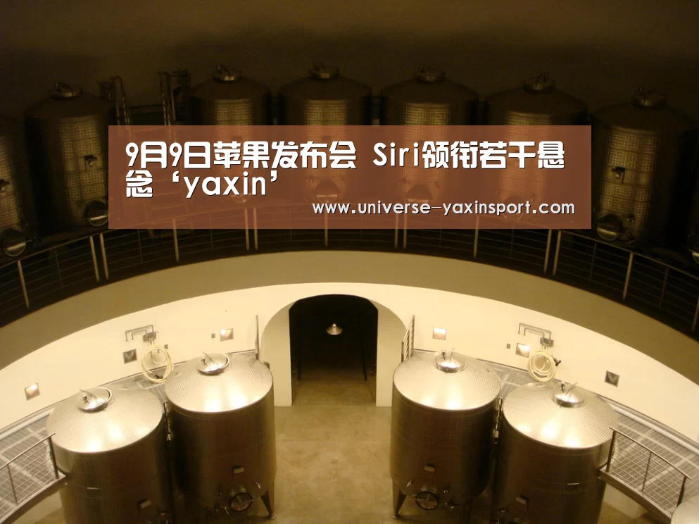 亚新网站
