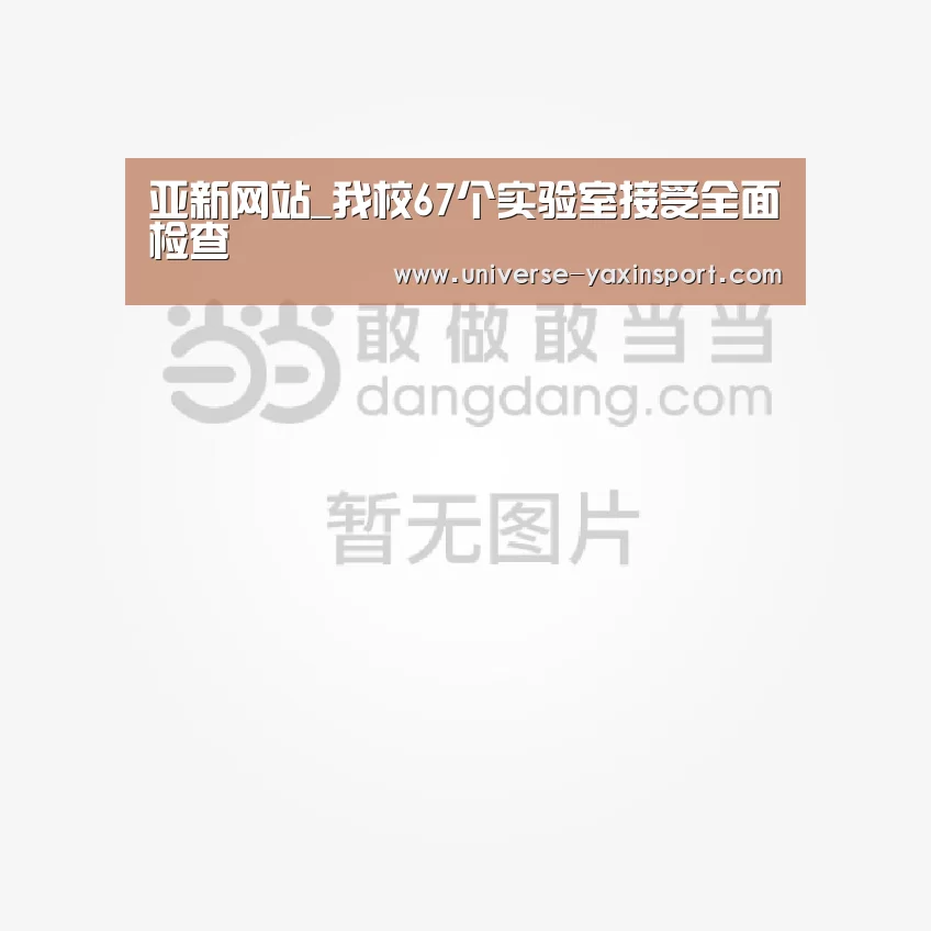亚新网站