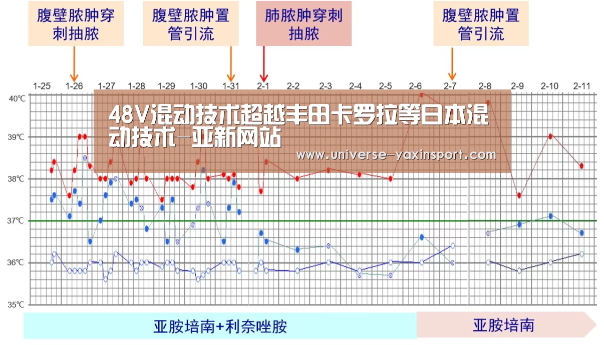 48V混动技术超越丰田卡罗拉等日本混动技术-亚新网站(图2) 亚新网站