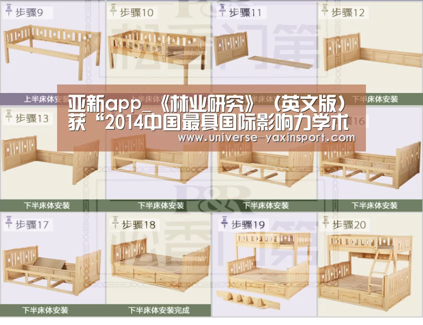 亚新app