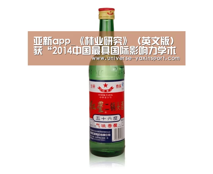 亚新体育