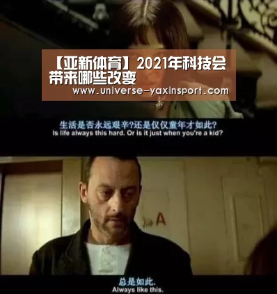 亚新网站