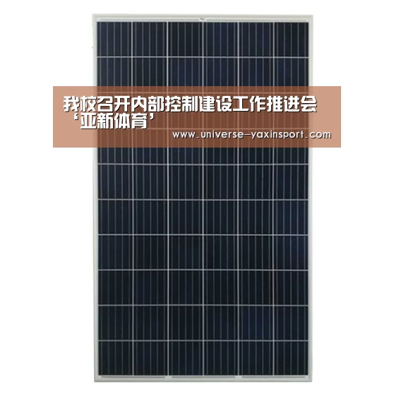 亚新网站
