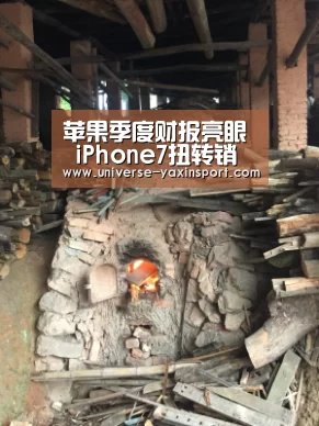 苹果季度财报亮眼 iPhone7扭转销售颓势【yaxin】(图2) 亚新网站