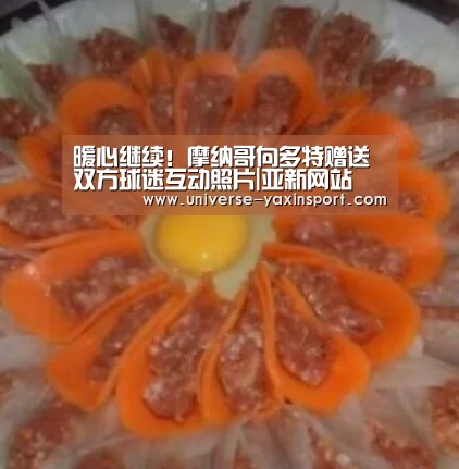 亚新网站