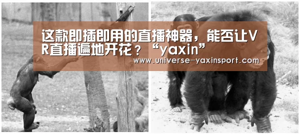 这款即插即用的直播神器,能否让VR直播遍地开花?“yaxin”(图4) 亚新体育