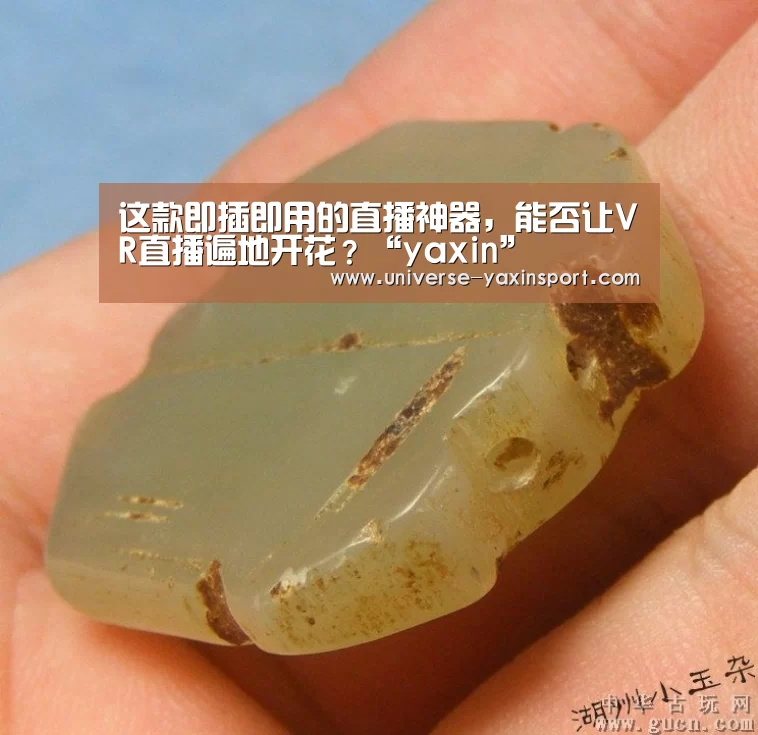 这款即插即用的直播神器,能否让VR直播遍地开花?“yaxin”(图2) 亚新app