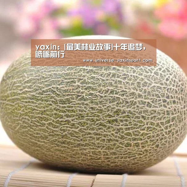 亚新app