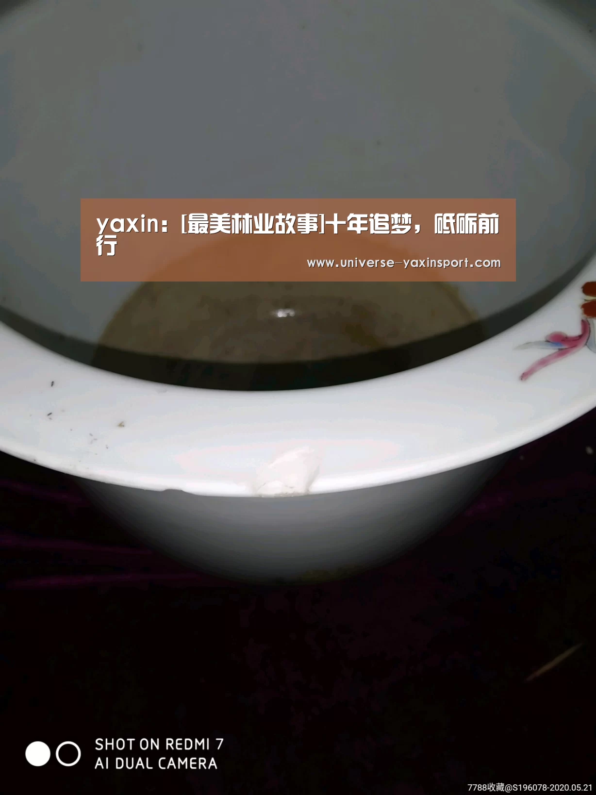 亚新app