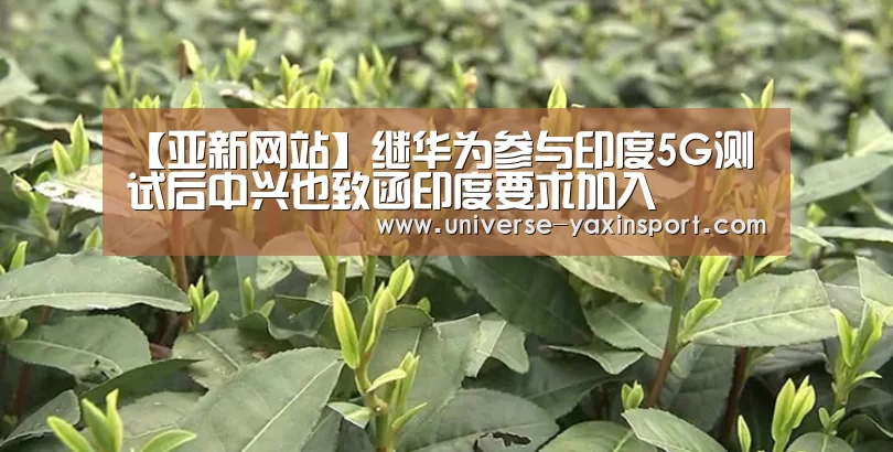 【亚新网站】继华为参与印度5G测试后中兴也致函印度要求加入(图1) 亚新官网