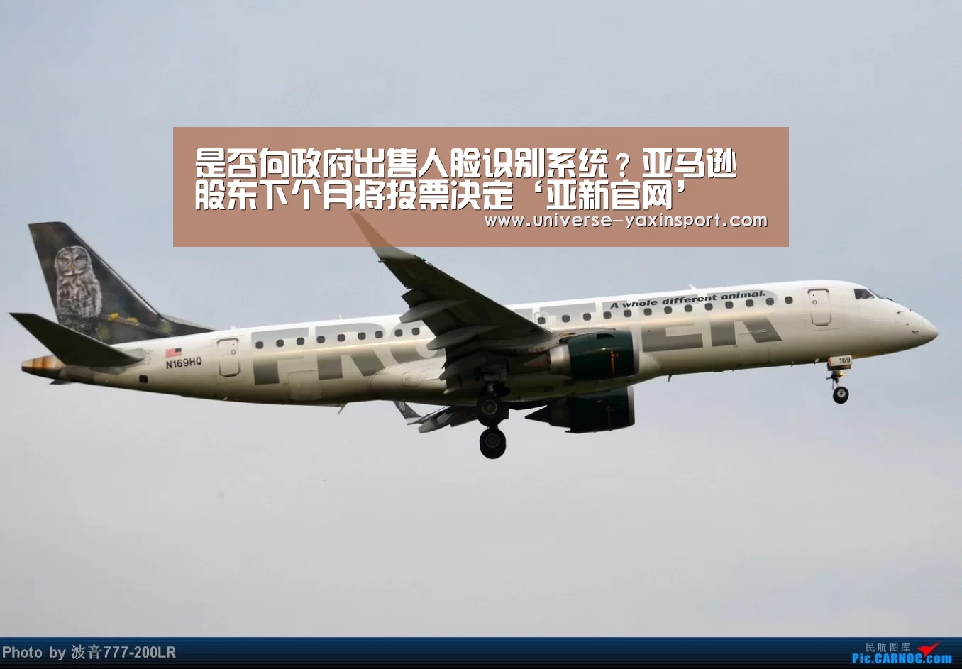 亚新网站
