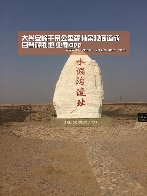 亚新官网
