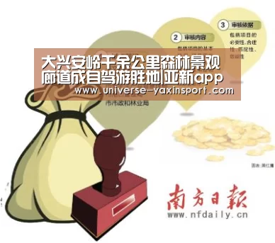 亚新网站