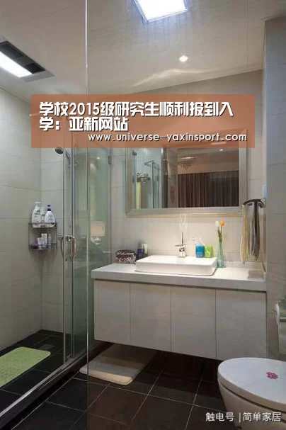 亚新网站
