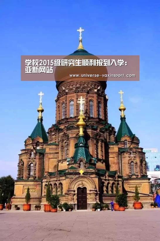 亚新app