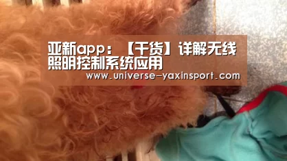 亚新app:【干货】详解无线照明控制系统应用(图3) 亚新app:【干货】详解无线照明控制系统应用(图3)