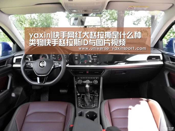 yaxin|快手网红犬赵拉撕是什么种类狗快手赵拉斯ID与图片视频(图1) 亚新体育