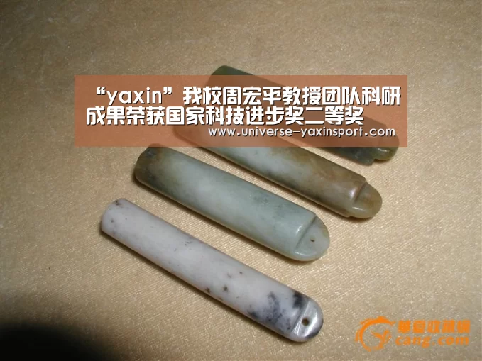亚新网站
