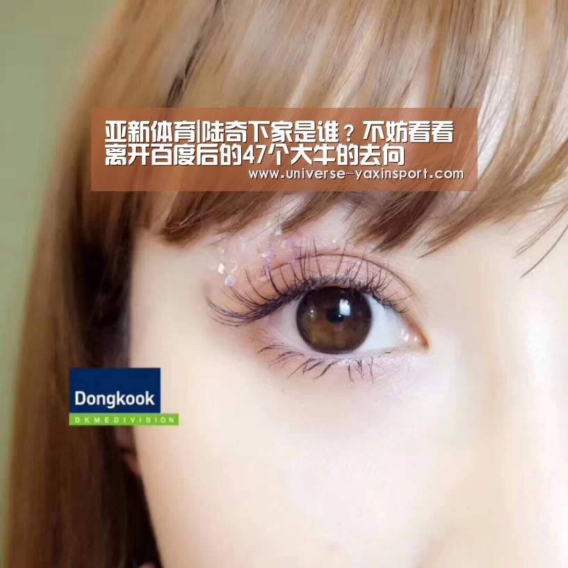 亚新体育|陆奇下家是谁?不妨看看离开百度后的47个大牛的去向(图1) 亚新体育