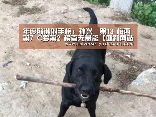 年度欧洲射手榜:孙兴慜第13 梅西第7 C罗第2 榜首无悬念【亚新网站】(图3) 亚新app