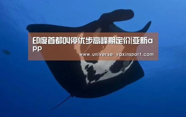 印度首都叫停优步高峰期定价|亚新app(图2) 亚新体育