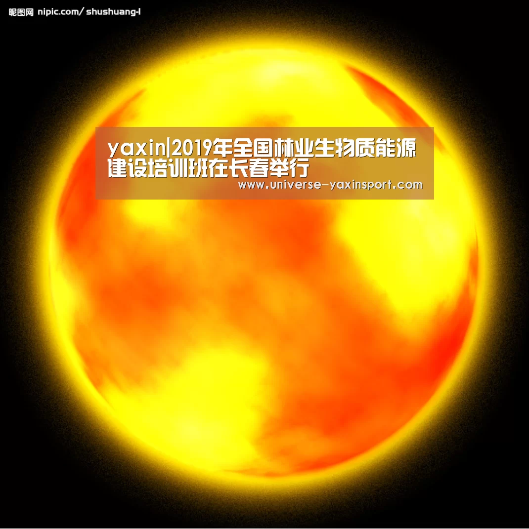 yaxin|2019年全国林业生物质能源建设培训班在长春举行(图4) 亚新官网