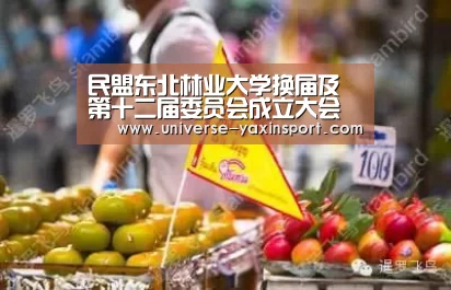 民盟东北林业大学换届及第十二届委员会成立大会胜利召开‘亚新网站’(图3) 亚新体育