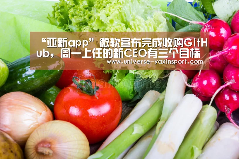 “亚新app”微软宣布完成收购GitHub,周一上任的新CEO有三个目标(图4) 亚新体育
