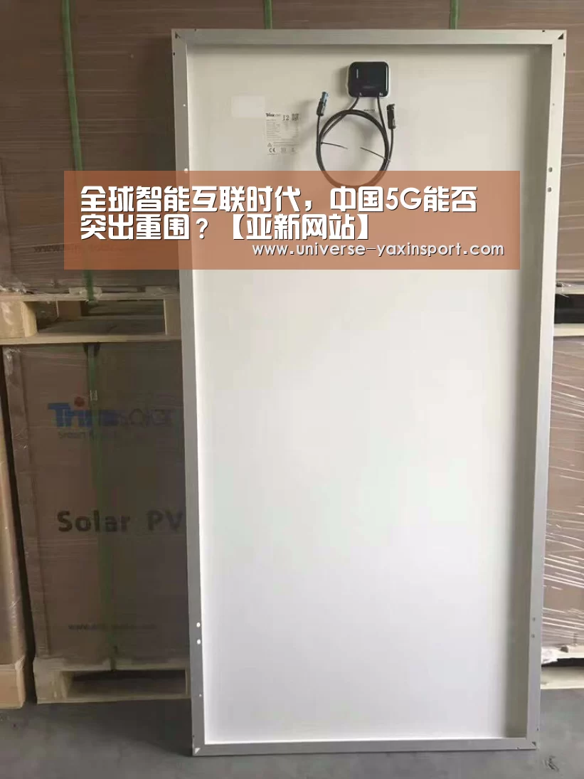亚新网站