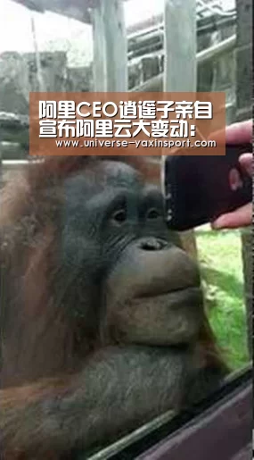 阿里CEO逍遥子亲自宣布阿里云大变动:胡晓明卸任,新成立阿里云智能事业群,张建锋兼任总裁|亚新网站(图2) 亚新网站