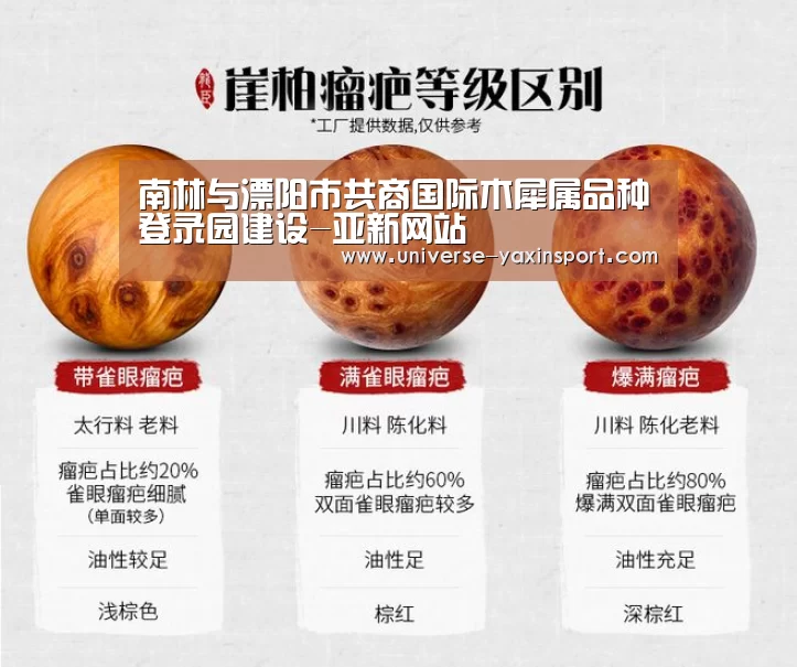 南林与溧阳市共商国际木犀属品种登录园建设-亚新网站(图1) 亚新体育