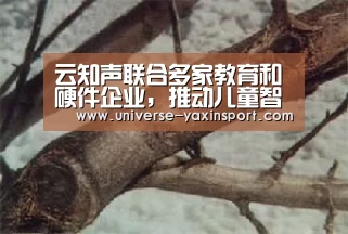 云知声联合多家教育和硬件企业,推动儿童智能产业变革‘亚新体育’(图3) 云知声联合多家教育和硬件企业,推动儿童智能产业变革‘亚新体育’(图3)